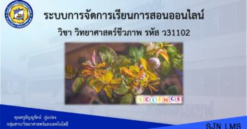 วิทยาศาสตร์ชีวภาพ ว31102 ม.4/2-4 ภาคเรียนที่ 2